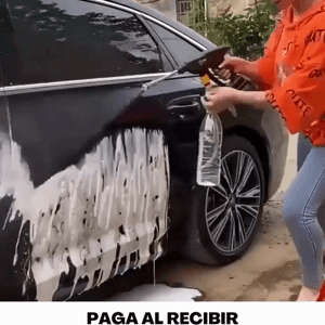 Lavadora Portátil de Alta Presión
